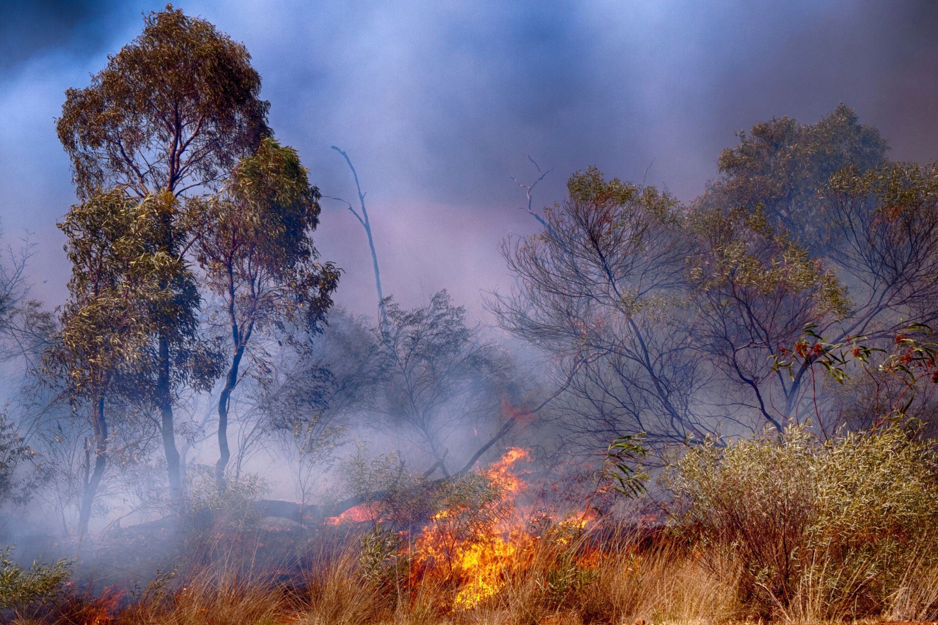 Kablamo launches Firestory: Australia's first AI-powered bushfire intelligence platform